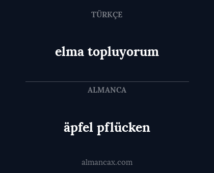 äpfel pflücken - elma topluyorum