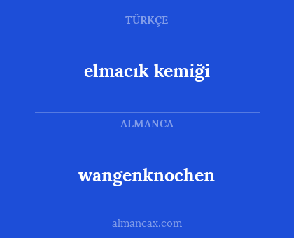 wangenknochen - elmacık kemiği