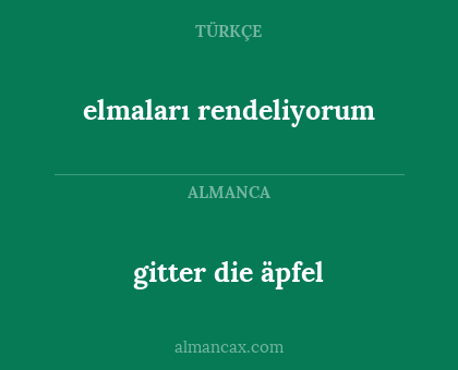 gitter die äpfel - elmaları rendeliyorum