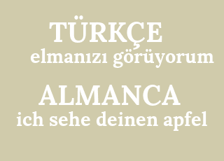 elman%C4%B1z%C4%B1+g%C3%B6r%C3%BCyorum-ich+sehe+deinen+apfel.png