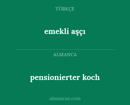 emekli aşçı - pensionierter koch