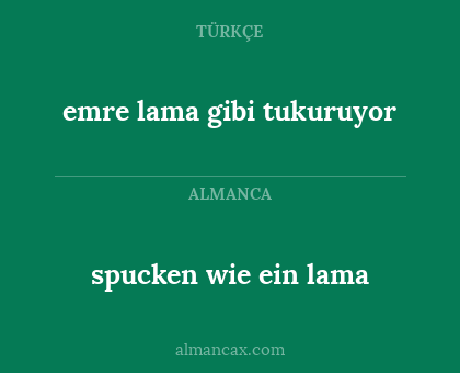 emre lama gibi tukuruyor - spucken wie ein lama