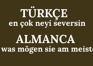 es+%C3%A7ok+lo+que+te+gusta-era+m%C3%B6gen+sie+am+meisten.png