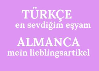 en+sevdi%C4%9Fim+e%C5%9Fyam-mein+lieblingsartikel.png