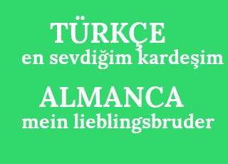 en+sevdi%C4%9Fim+karde%C5%9Fim-mein+lieblingsbruder.png