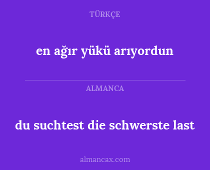 du suchtest die schwerste last - en ağır yükü arıyordun