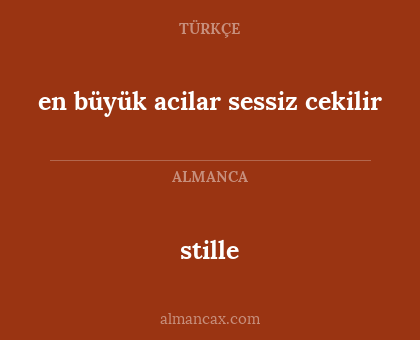 stille - en büyük acilar sessiz cekilir