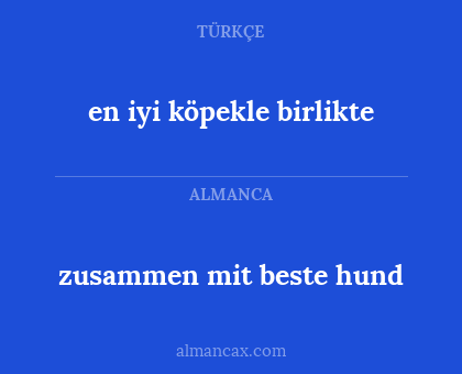 en iyi köpekle birlikte - zusammen mit beste hund