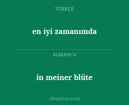 en iyi zamanımda - in meiner blüte
