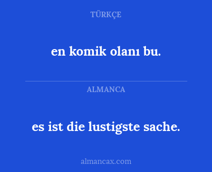 es ist die lustigste sache. - en komik olanı bu.