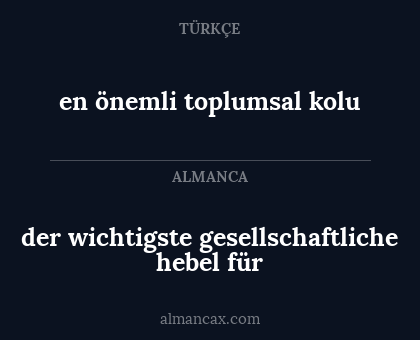en önemli toplumsal kolu - der wichtigste gesellschaftliche hebel für