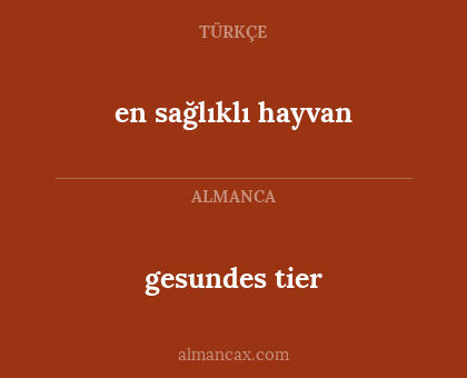 gesundes tier - en sağlıklı hayvan