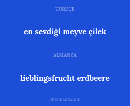 lieblingsfrucht erdbeere - en sevdiği meyve çilek