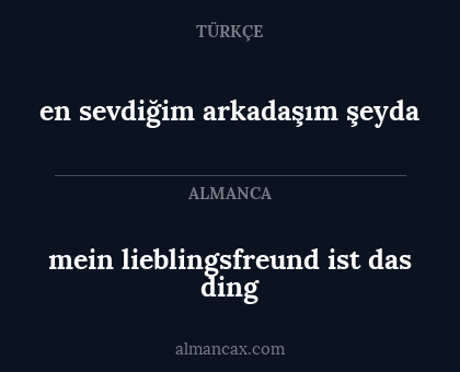 en sevdiğim arkadaşım şeyda - mein lieblingsfreund ist das ding