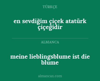 en sevdiğim çiçek atatürk çiçeğidir - meine lieblingsblume ist die blume