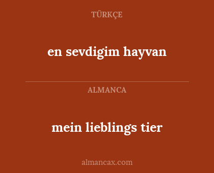 en sevdigim hayvan - mein lieblings tier
