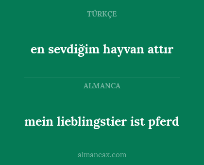 en sevdiğim hayvan attır - mein lieblingstier ist pferd