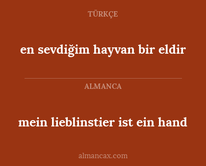 en sevdiğim hayvan bir eldir - mein lieblinstier ist ein hand