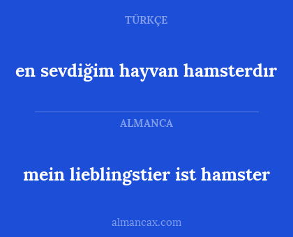 en sevdiğim hayvan hamsterdır - mein lieblingstier ist hamster