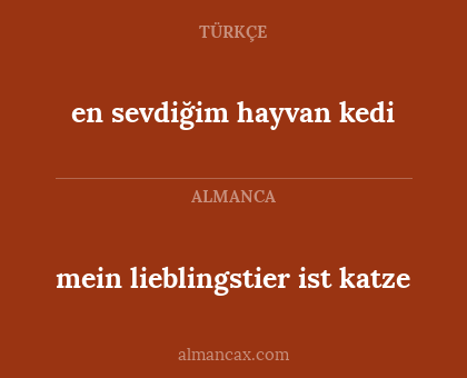 en sevdiğim hayvan kedi - mein lieblingstier ist katze