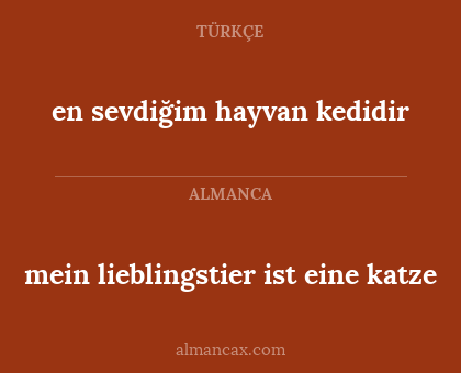 en sevdiğim hayvan kedidir - mein lieblingstier ist eine katze