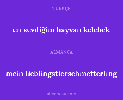 en sevdiğim hayvan kelebek - mein lieblingstierschmetterling