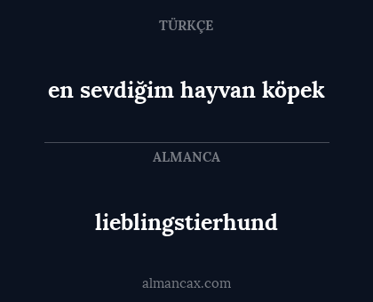 lieblingstierhund - en sevdiğim hayvan köpek
