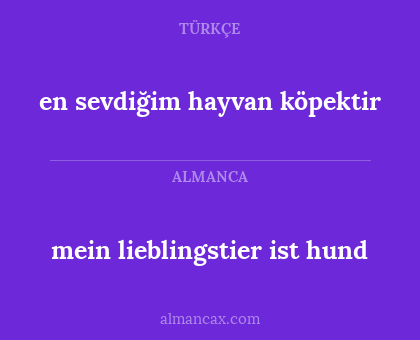 mein lieblingstier ist hund - en sevdiğim hayvan köpektir