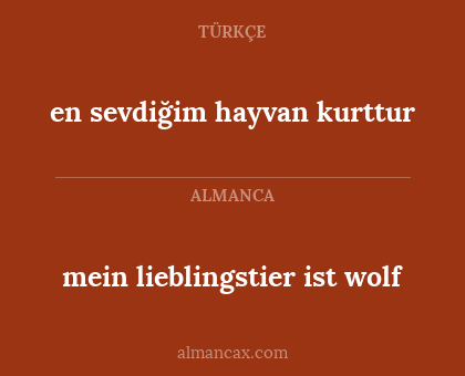 mein lieblingstier ist wolf - en sevdiğim hayvan kurttur