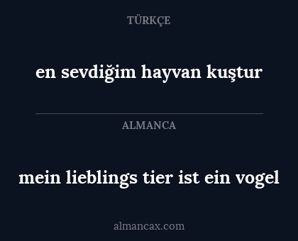 en sevdiğim hayvan kuştur - mein lieblings tier ist ein vogel