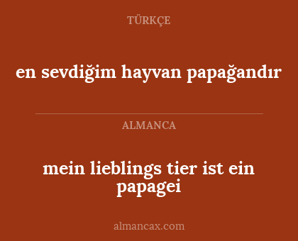 en sevdiğim hayvan papağandır - mein lieblings tier ist ein papagei