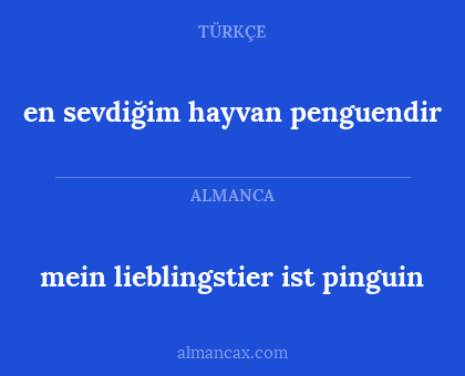 mein lieblingstier ist pinguin - en sevdiğim hayvan penguendir