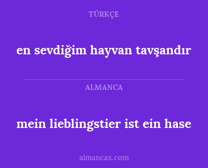en sevdiğim hayvan tavşandır - mein lieblingstier ist ein hase