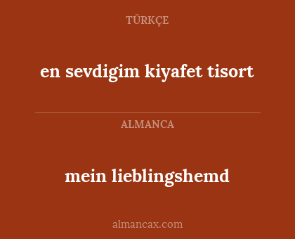 mein lieblingshemd - en sevdigim kiyafet tisort