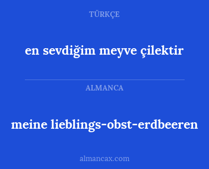 meine lieblings-obst-erdbeeren - en sevdiğim meyve çilektir