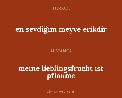 en sevdiğim meyve erikdir - meine lieblingsfrucht ist pflaume