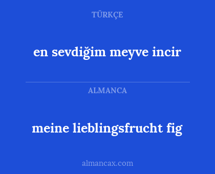 meine lieblingsfrucht fig - en sevdiğim meyve incir