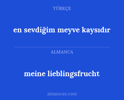 meine lieblingsfrucht - en sevdiğim meyve kaysıdır