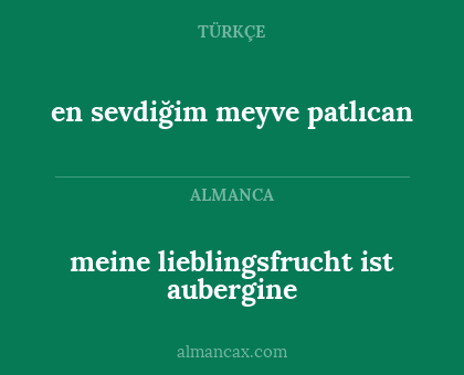 en sevdiğim meyve patlıcan - meine lieblingsfrucht ist aubergine