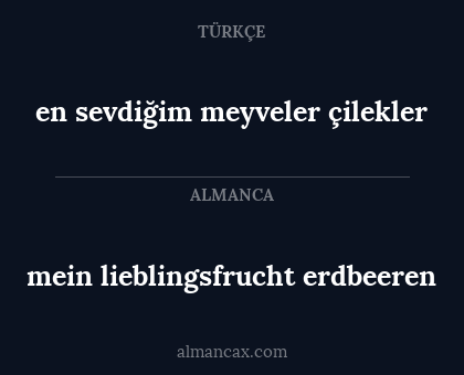 mein lieblingsfrucht erdbeeren - en sevdiğim meyveler çilekler