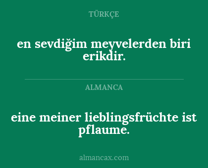 eine meiner lieblingsfrüchte ist pflaume. - en sevdiğim meyvelerden biri erikdir.