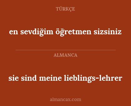 sie sind meine lieblings-lehrer - en sevdiğim öğretmen sizsiniz