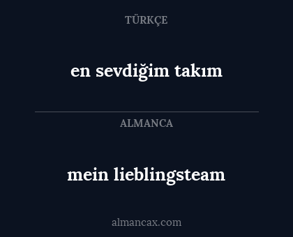 en sevdiğim takım - mein lieblingsteam