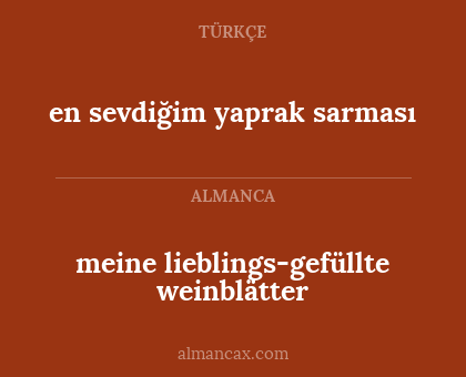 en sevdiğim yaprak sarması - meine lieblings-gefüllte weinblätter