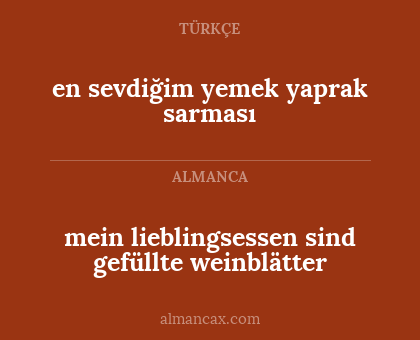 mein lieblingsessen sind gefüllte weinblätter - en sevdiğim yemek yaprak sarması