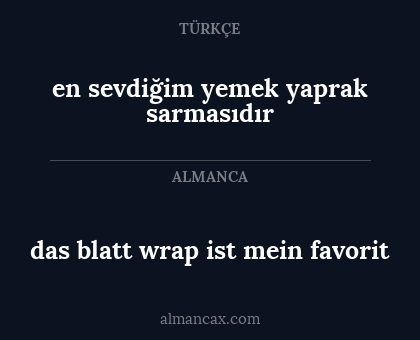 das blatt wrap ist mein favorit - en sevdiğim yemek yaprak sarmasıdır