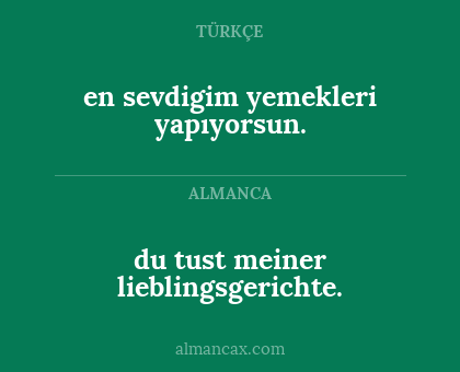 en sevdigim yemekleri yapıyorsun. - du tust meiner lieblingsgerichte.
