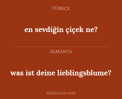 en sevdiğin çiçek ne? - was ist deine lieblingsblume?