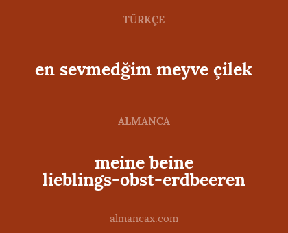 meine beine lieblings-obst-erdbeeren - en sevmedğim meyve çilek
