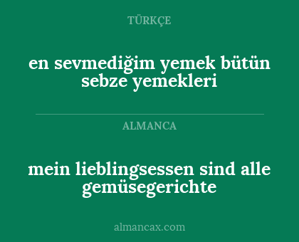 en sevmediğim yemek bütün sebze yemekleri - mein lieblingsessen sind alle gemüsegerichte